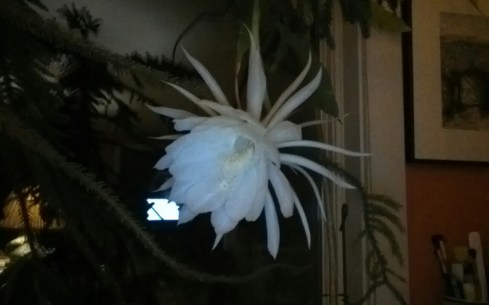 And an Angel appeared!!!